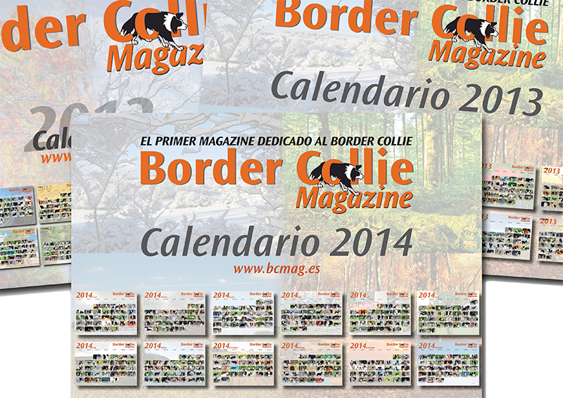 Calendario Border Collie Magazine 2015